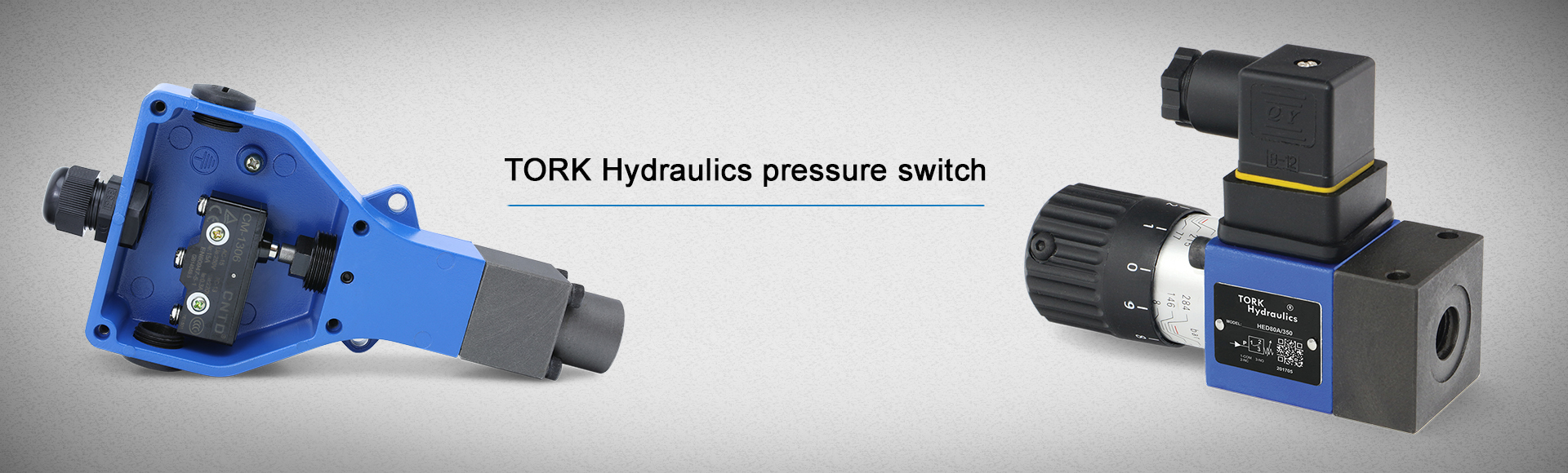 Pressure switch - Hydraulic pressure switch
